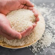 Rice