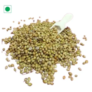 Coriander Seeds