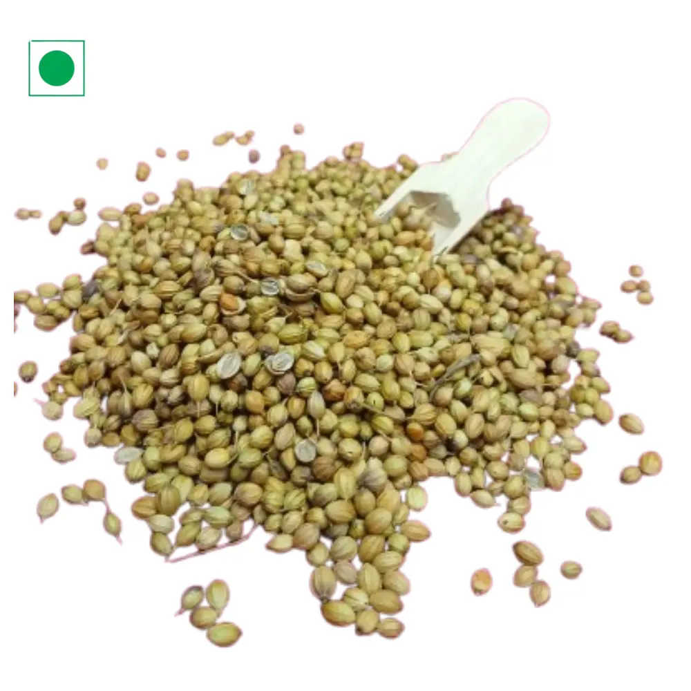 Coriander Seeds Coriander Seeds