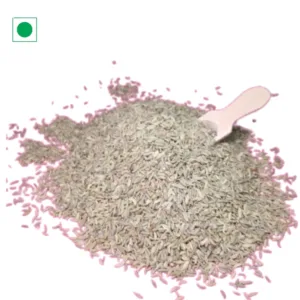 Cumin Seeds