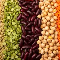 Pulses