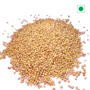 Yellow Jowar